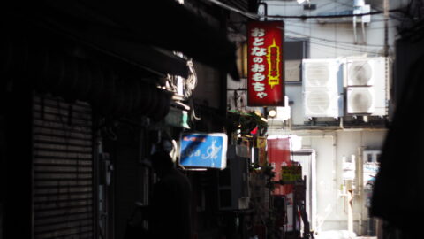 おとなのおもちゃ