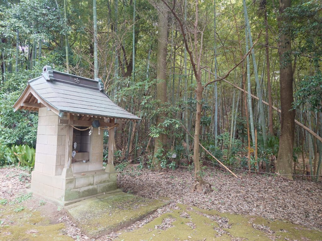 日枝神社柏