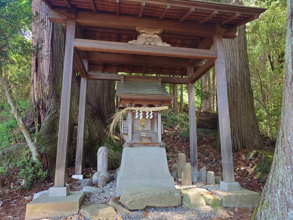 大月石棒様