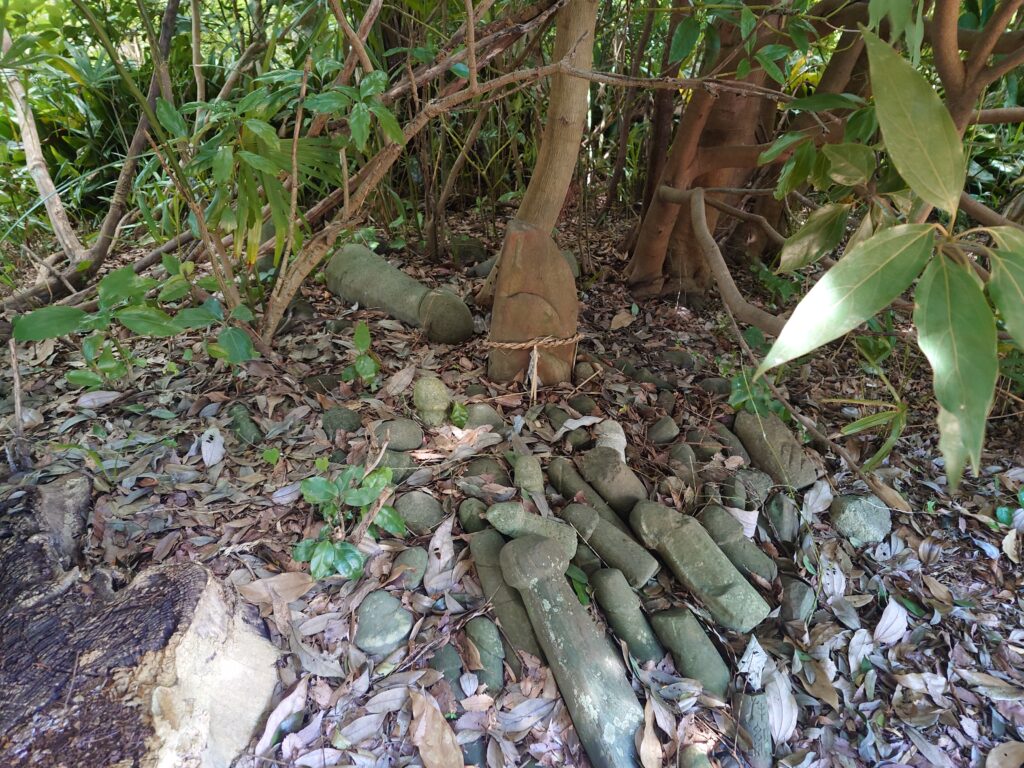 茨城県石棒様