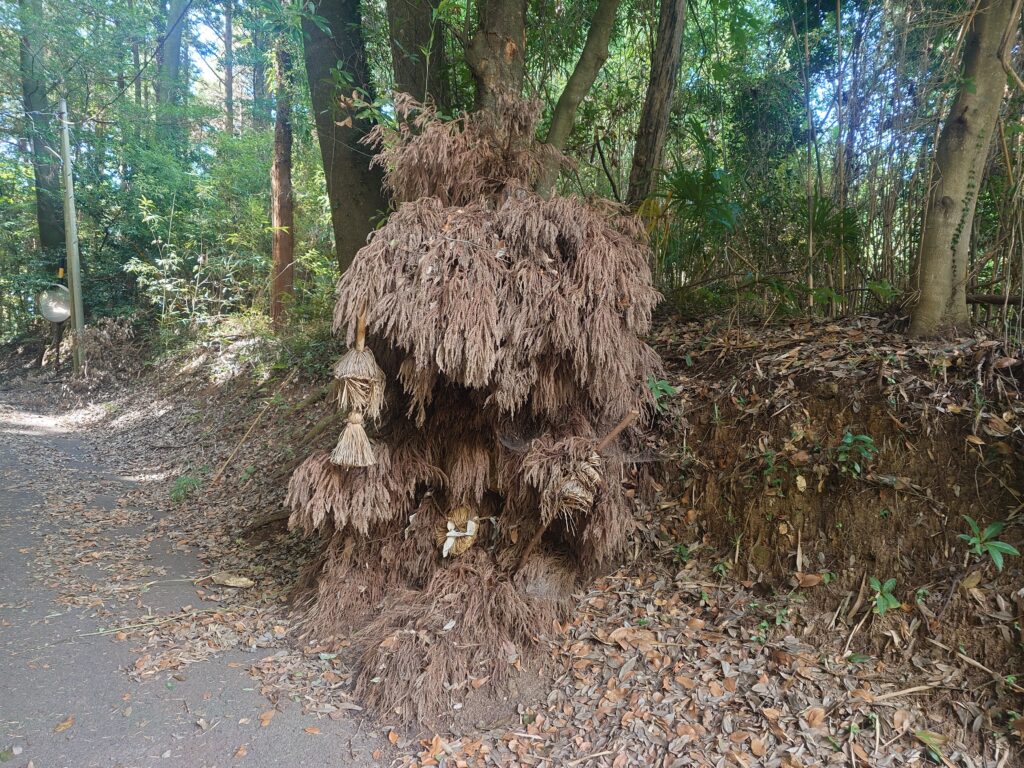 ダイタラボッチ