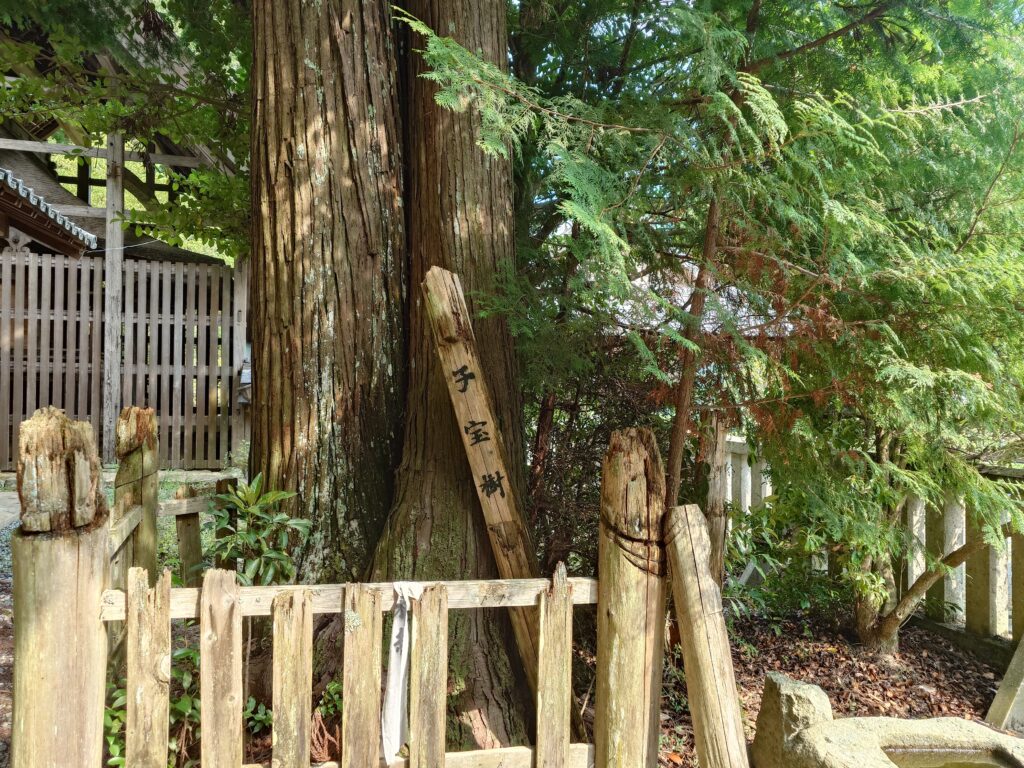 兵庫　金精様