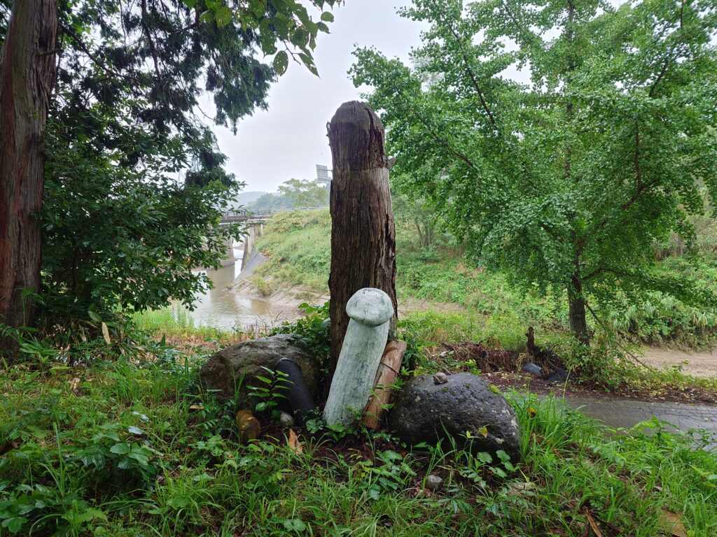 山形　金精様
