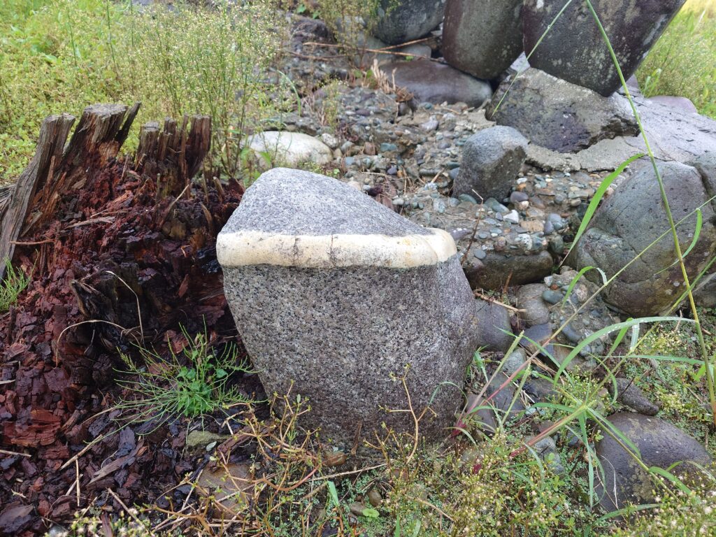 山形　金精様
