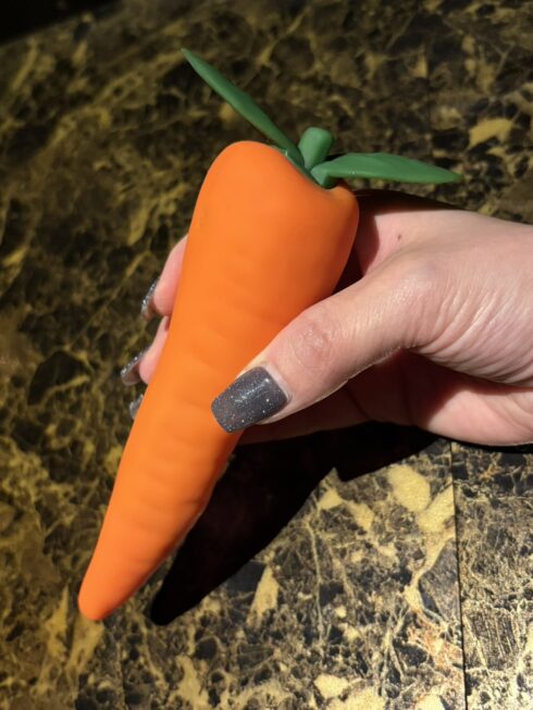 アダルトトーイ