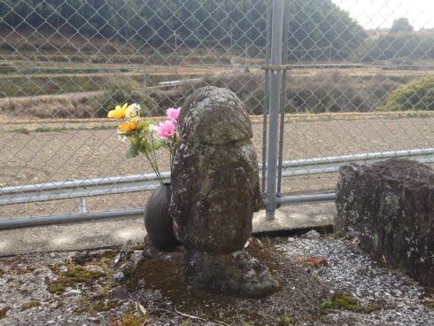鹿児島田の神様