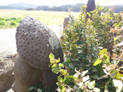 鹿児島田の神様