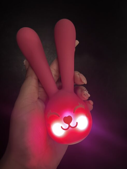 大人のおもちゃ