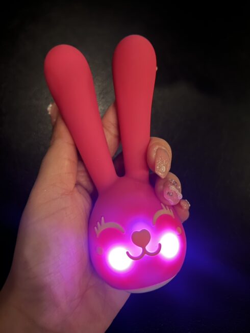 アダルトトーイ