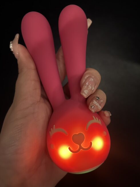 アダルトトーイ