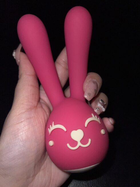 アダルトトーイ