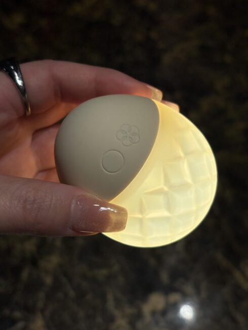 IROHA大人のおもちゃ