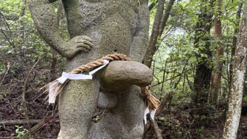 男性器