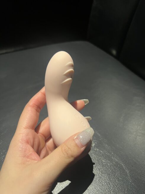 大人のおもちゃ