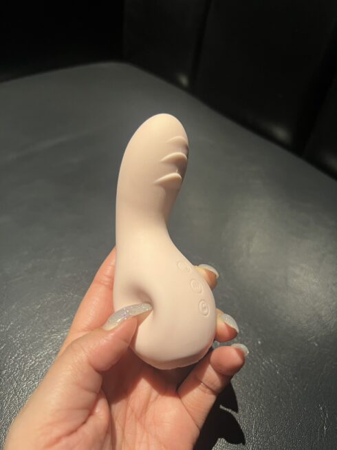 大人のおもちゃ