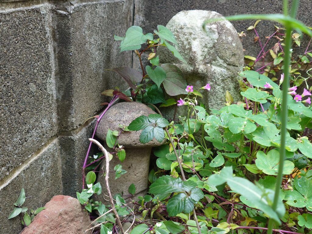 横浜石棒