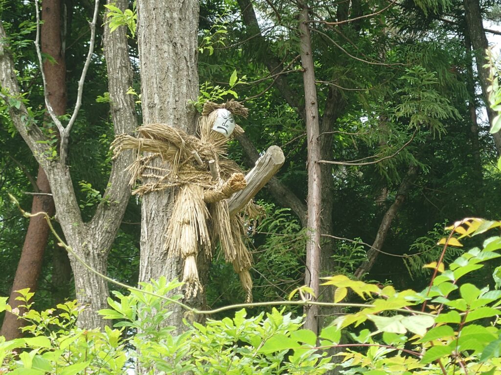 白木野人形