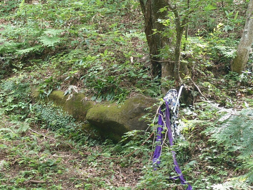 青森石棒様