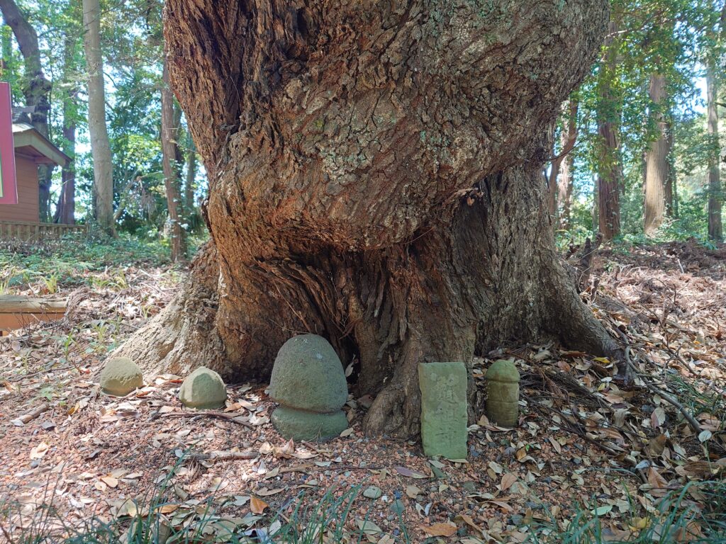 茨城金精様