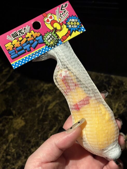 アダルトトーイ