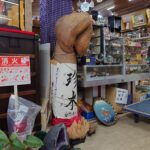 岐阜金精様