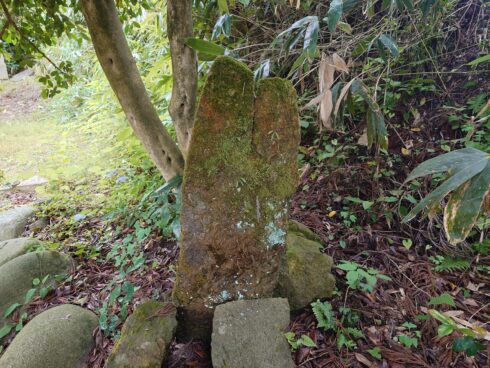 富山県金精様