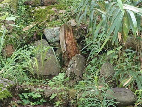 富山県金精様