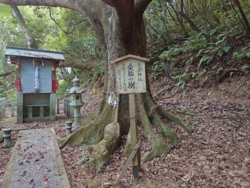 滋賀金精様