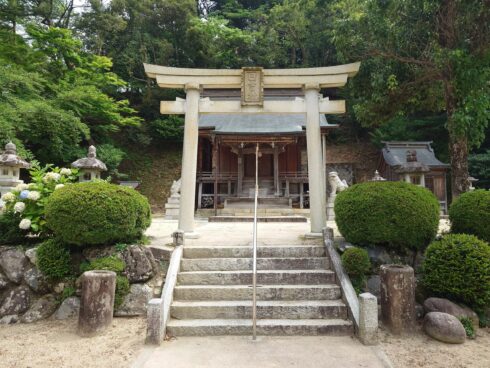 福井奇祭