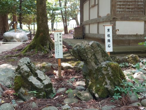 福井金精様